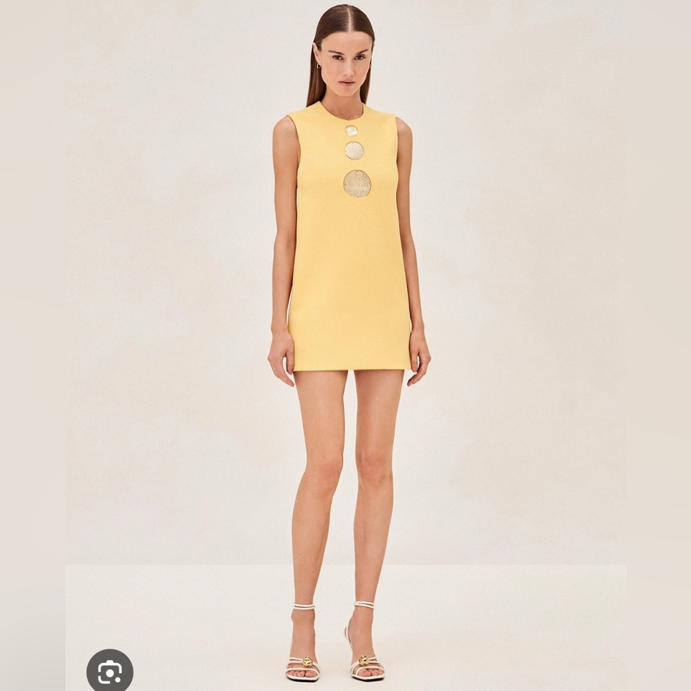 Alexis Vango Mini Dress